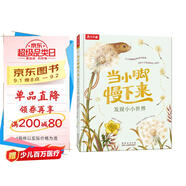 當小腳慢下來 發(fā)現(xiàn)小小世界 樂樂趣4歲+兒童自然科普繪本可點讀