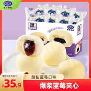 港榮蒸蛋糕藍(lán)莓800g小面包零食休閑早餐餅干中西式糕點(diǎn)純蛋糕甜品禮品