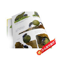 世界上最最溫馨的家 （愛(ài)心樹(shù)童書(shū)）