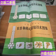 【二手9成新】自治區內蒙農作物模式裁培技術(shù)圖集倆本合售 /內蒙古自治區農業(yè)技術(shù)推廣站 內蒙古人民