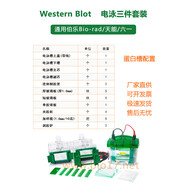 wb電泳套裝 wb電泳槽 wb電泳儀 伯樂(lè )Mini Trans-Blot1658033國產(chǎn) 蛋白電泳槽1658001國產(chǎn)