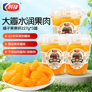 科技 橘子罐頭227g*3杯 水果罐頭即食休閑零食水果撈糖水飲料甜點(diǎn)禮物