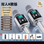 HKMW索尼機SONY適用2025新款h9話(huà)筒音響一體麥克風(fēng)戶(hù)外家用K歌音箱卡拉ok聲卡唱歌家庭ktv神器 標準【雙人K歌版】雙麥互聯(lián)/雙倍快樂(lè )/八核DSP修
