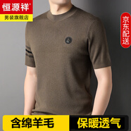 恒源祥短袖羊毛T恤男針織衫半高領春秋刺繡毛衣潮流打底衫男薄款上衣服 棕色 2XL 185/100A