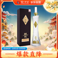 瀘州老窖 國(guó)窖1573 廣州塔 濃香型白酒 53度 600ml  單瓶裝 【送禮禮品】