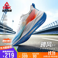 匹克態(tài)極騁風(fēng)2.0跑步鞋男鞋秋季網(wǎng)面透氣休閑體測運動(dòng)鞋子男DH510007