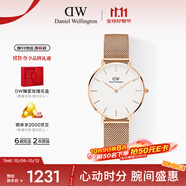 丹尼爾惠靈頓（DanielWellington）DW手表女表 簡約女士手表 時尚歐美表送女友生日禮物DW00100163