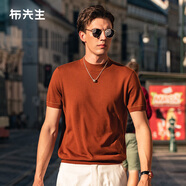 布先生可機洗短袖羊毛T恤男秋冬打底針織衫 嵌線(xiàn)刺繡-暖焦糖   L  (175)