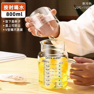 炫野800ml大容量玻璃杯帶蓋家用喝水杯女耐高溫刻度杯男泡茶杯子帶把 按時(shí)喝水款800ml