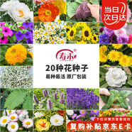 壽禾 花種子苗薄荷波斯菊太陽(yáng)花格?；ㄏ蛉湛ǚN籽 20種花草種子套餐