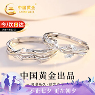 中國黃金連理枝情侶戒指求婚純銀對戒表白七夕情人節(jié)禮物送女友老婆生日 連理枝情侶戒指【京速達】