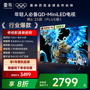 FFALCON雷鳥(niǎo)電視 65鶴6 25款（PLUS版） 65英寸 QD-MiniLED 高階VA 背光分區(qū) 家電國(guó)家補(bǔ)貼電視 65英寸 一級(jí)能效 65S595C