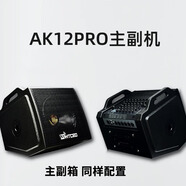 新款馬田總裁AK12PRO AK15PRO戶外專業(yè)唱歌演奏直播樂器藍(lán)牙音箱 AK12Pro主機(jī)+副機(jī)