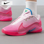 耐克（NIKE） 籃球鞋男鞋士 25春季新款透氣休閑運(yùn)動(dòng)鞋戶(hù)外籃球鞋子男 【詹姆斯情人節(jié)限定】浪漫粉紅/熱銷(xiāo)款/曬圖退10 40