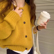 歐美藍色開衫毛衣外套女2025秋季韓版寬松慵懶風(fēng)外搭針織衫 黃色 M