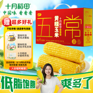 十月稻田 五常黃糯玉米 3.52斤(220g*8根) 東北玉米棒 早餐零食 中秋禮盒