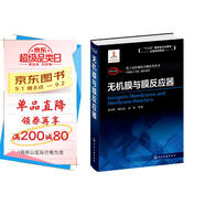 化工過(guò)程強化關(guān)鍵技術(shù)叢書(shū)--結構催化劑與反應器