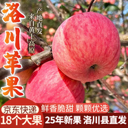 洛川蘋果陜西延安特產(chǎn)紅富士時令蘋果水果禮盒送蘋果生鮮新鮮脆甜整箱批發(fā) 18個80mm大果優(yōu)選 彩箱裝【推薦】