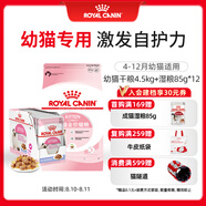 皇家幼貓 干濕搭配   K36 4.5KG+ KJP 85G*12