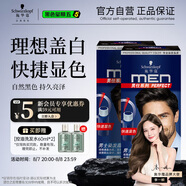 施華蔻（Schwarzkopf）男士染發(fā)霜3.0棕黑色雙盒裝 染發(fā)劑染發(fā)膏男士專用蓋白發(fā)輕松操作