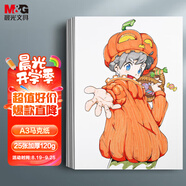 晨光（M&G）文具A3/25張馬克紙馬克筆專(zhuān)用學(xué)生手抄報手繪設計制圖素描APY8048TB兒老師推薦開(kāi)學(xué)禮物