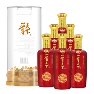 五糧液（WULIANGYE）股份公司出品一尊天下系列 濃香型白酒  節(jié)日送禮婚慶喜宴酒水  52度 500mL 6瓶 一尊天下佳釀2023年