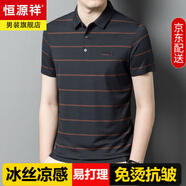 恒源祥高端涼感短袖t恤男士冰絲夏季薄款體恤中年條紋半袖polo衫男上衣 深鐵灰 M