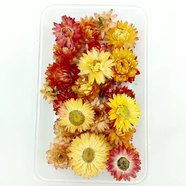 詠幻天然麥稈菊花朵DIY立體干花相框花材包手工INS風(fēng)香薰蠟片雛菊花盒 小朵混色直徑1.5-3CM