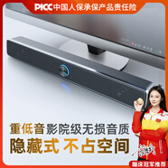 賽達（SADA）音響電腦藍牙音箱家用臺式機長(cháng)條多媒體喇叭筆記本手機桌面有線(xiàn)迷你影響 V-193時(shí)尚黑