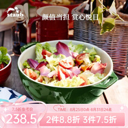 琺寶（staub）陶瓷碗大號沙拉碗家用甜品碗泡面湯碗面碗烘焙雙耳飯碗 25cm 蒔蘿綠
