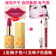 洛姿中國風(fēng)經(jīng)典正紅色啞光口紅楓葉爛番茄色防水不掉色不沾杯 570梅子色【1支口紅+1支唇釉】