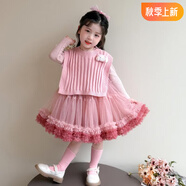 憶愛(ài)女童tutu裙周歲禮服女寶寶夏季連衣裙蓬蓬裙一歲女孩衣服公主裙 粉色套裝（秋上新） 80 (XS) 建議65-80cm