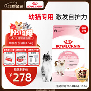 皇家幼貓貓糧 幼貓奶糕 K36 通用糧 4-12月 4.5KG