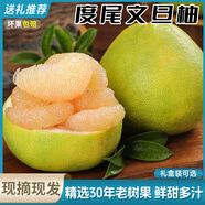 閩農(nóng)語果正宗福建度尾文旦柚現(xiàn)摘當(dāng)季新鮮柚子過節(jié)禮盒送禮紅心蜜柚子 單果約1.3斤丨20斤吃著更過癮丨網(wǎng)袋裝 團(tuán)購/售后詳詢客服
