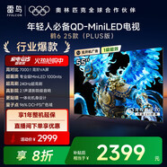 FFALCON雷鳥電視 55鶴6 25款（PLUS版） 55英寸 QD-MiniLED 高階VA 背光分區(qū) 家電補(bǔ)貼電視 55英寸 55英寸 國家補(bǔ)貼 55S595C