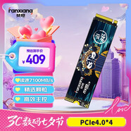 梵想（FANXIANG）1TB SSD固態(tài)硬盤(pán) M.2接口NVMe協(xié)議PCIe4.0x4 PS5臺式機筆記本電腦擴展硬盤(pán) PC存儲配件 S790E