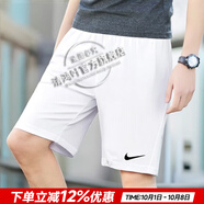 耐克（NIKE）官方 短褲夏季男 25新款冰絲速干透氣五分寬松休閑褲跑步運動短褲 IB8654-100/舒適/刺繡LOGO 無口袋 L