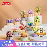 佳奇科技（JAKI）積木拼裝多肉植物盆栽擺件兒童玩具男女孩生日七夕禮物-12款混裝