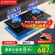 櫻花（SAKURA）燃氣灶天然氣灶煤氣灶雙灶液化氣灶具猛火爐灶臺式嵌入式兩用5.0KW大火力國家補貼20% 【液化氣】B9209大面板多種開(kāi)孔尺寸