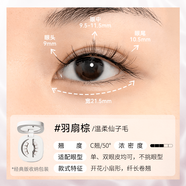 WOSADO【新品】悅瞳磁吸假睫毛分體盒包裝 羽扇棕(精妝溫柔仙子毛)