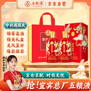 五糧液股份 婚宴喜酒 富貴吉祥精致42度500ml*2瓶濃香型純糧食白酒禮盒