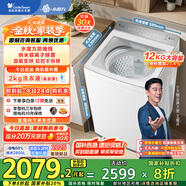 小天鵝（LittleSwan）波輪洗衣機(jī)全自動(dòng) 12公斤大容量 小烏梅輕奢版【TB12VE20DW】水魔方防纏繞 家電國家補(bǔ)貼20%