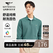 七匹狼男士長(cháng)袖T恤男秋冬翻領(lǐng)挺括休閑商務(wù)打底男士上衣polo衫 111(湖藍)1D1D50605888 2XL 180/96A