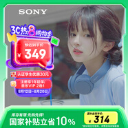 索尼（SONY）WH-CH520 舒適高效無(wú)線頭戴式藍(lán)牙耳機(jī) 舒適佩戴 音樂耳機(jī) 藍(lán)色 七夕禮物