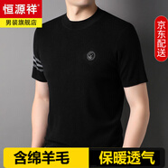 恒源祥短袖羊毛T恤男針織衫半高領春秋刺繡毛衣潮流打底衫男薄款上衣服 黑色 XL 180/96A