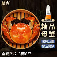 【活蟹】蟹爵大閘蟹鮮活全母2-2.3兩8只 螃蟹現(xiàn)貨生鮮中秋禮盒