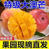 【爆甜】正宗海南澳芒大果當季新鮮熱帶水果特大奧芒蘋(píng)果芒非凱特 正宗海南澳芒大果 凈重9.1-10斤中果