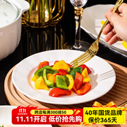 順祥輕奢碗碟套裝陶瓷米飯碗家用高檔釉下彩純白簡約碗盤餐具湯面碗 10.2英寸月光盤