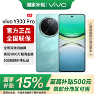vivo Y300 Pro 續(xù)航滅霸 鈦強(qiáng)大 6500mAh超薄藍(lán)海電池 全等深微四曲屏 SGS五星抗摔認(rèn)證 AI 拍照 手機(jī) 金鑲玉 12+512GB 全網(wǎng)通 官方標(biāo)配