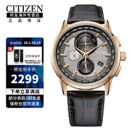 西鐵城（CITIZEN）光動(dòng)能多局自動(dòng)對(duì)時(shí)皮/鋼帶商務(wù)休閑時(shí)尚男表送男友 AT8113-12H